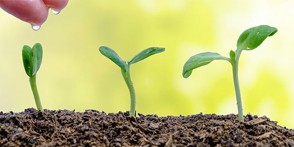 山西晟禾生物科技有限公司