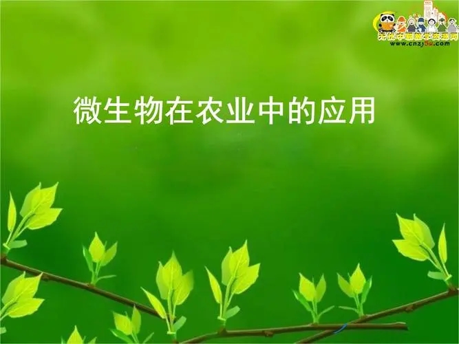 微生物在环境处理中的应用