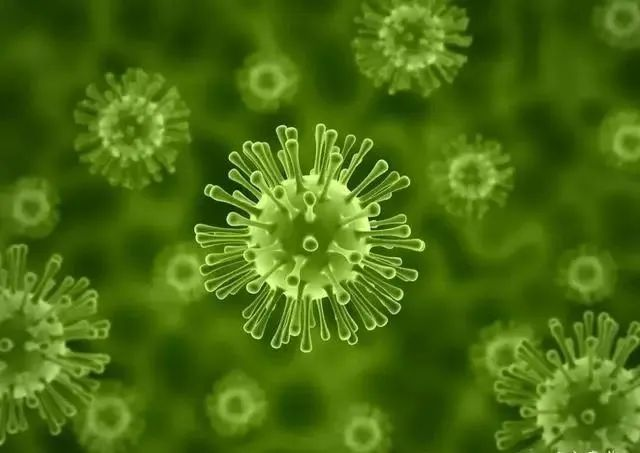 进入微生物的生活